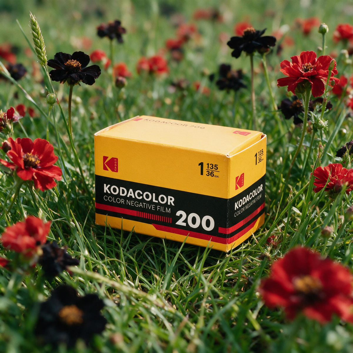 Kodak Kodacolor 200