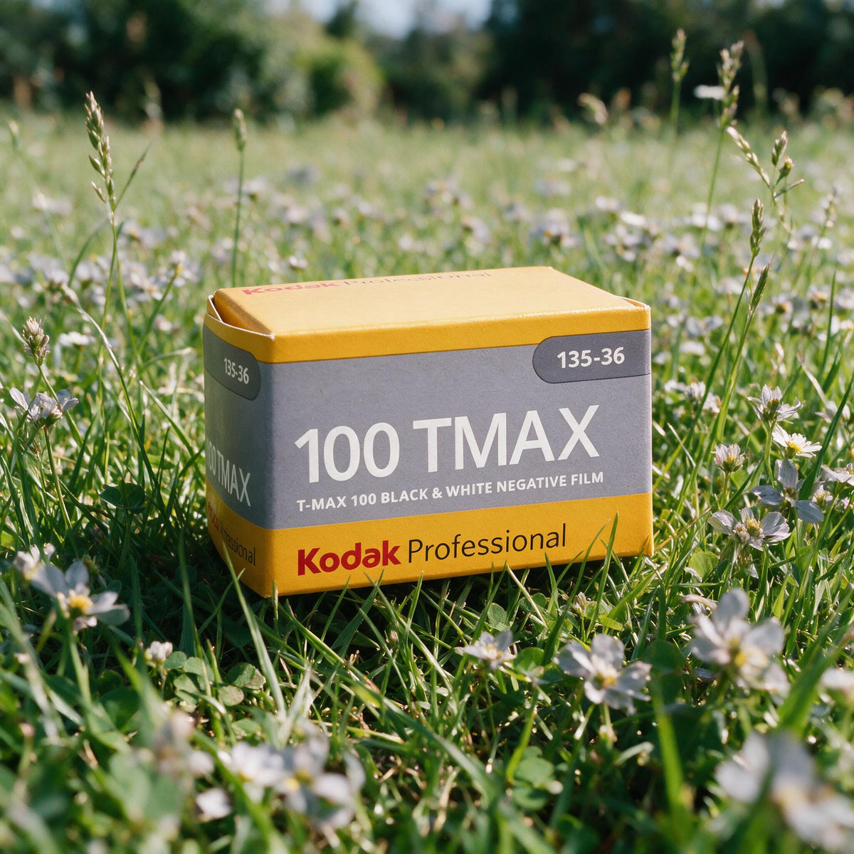 Kodak TMX 100 [Expired 2001] B/W