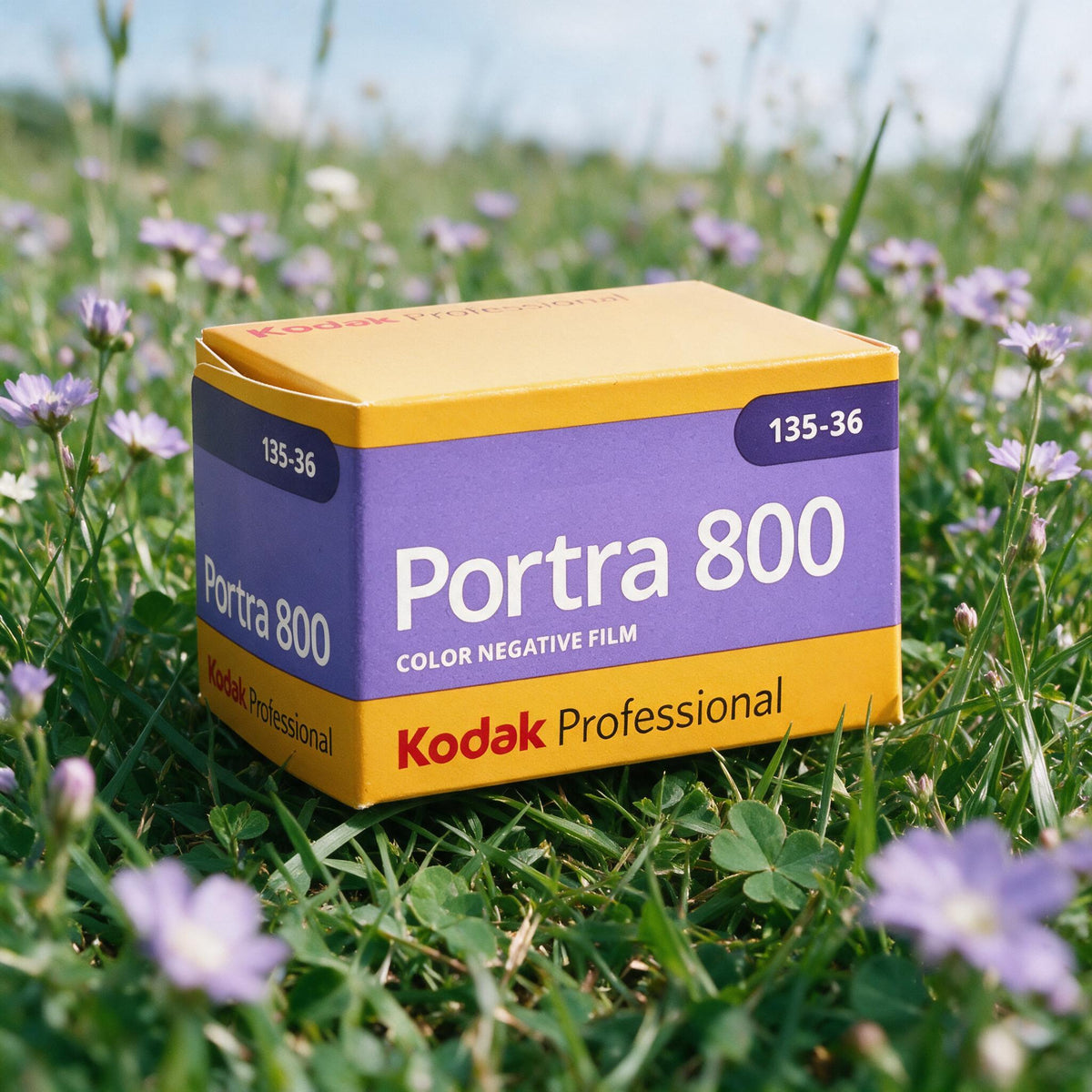 Kodak Portra 800